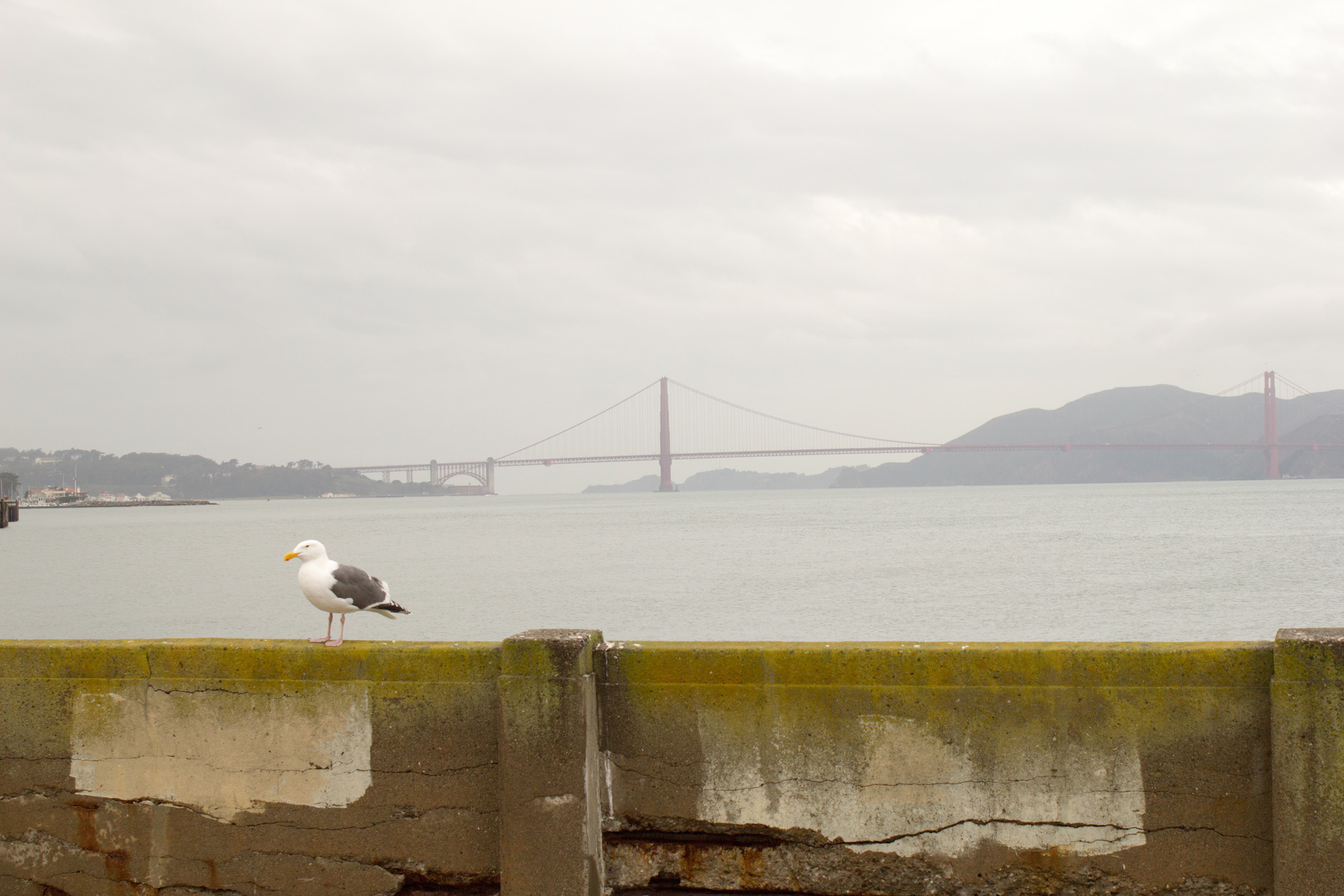 Golden Gate Bridge