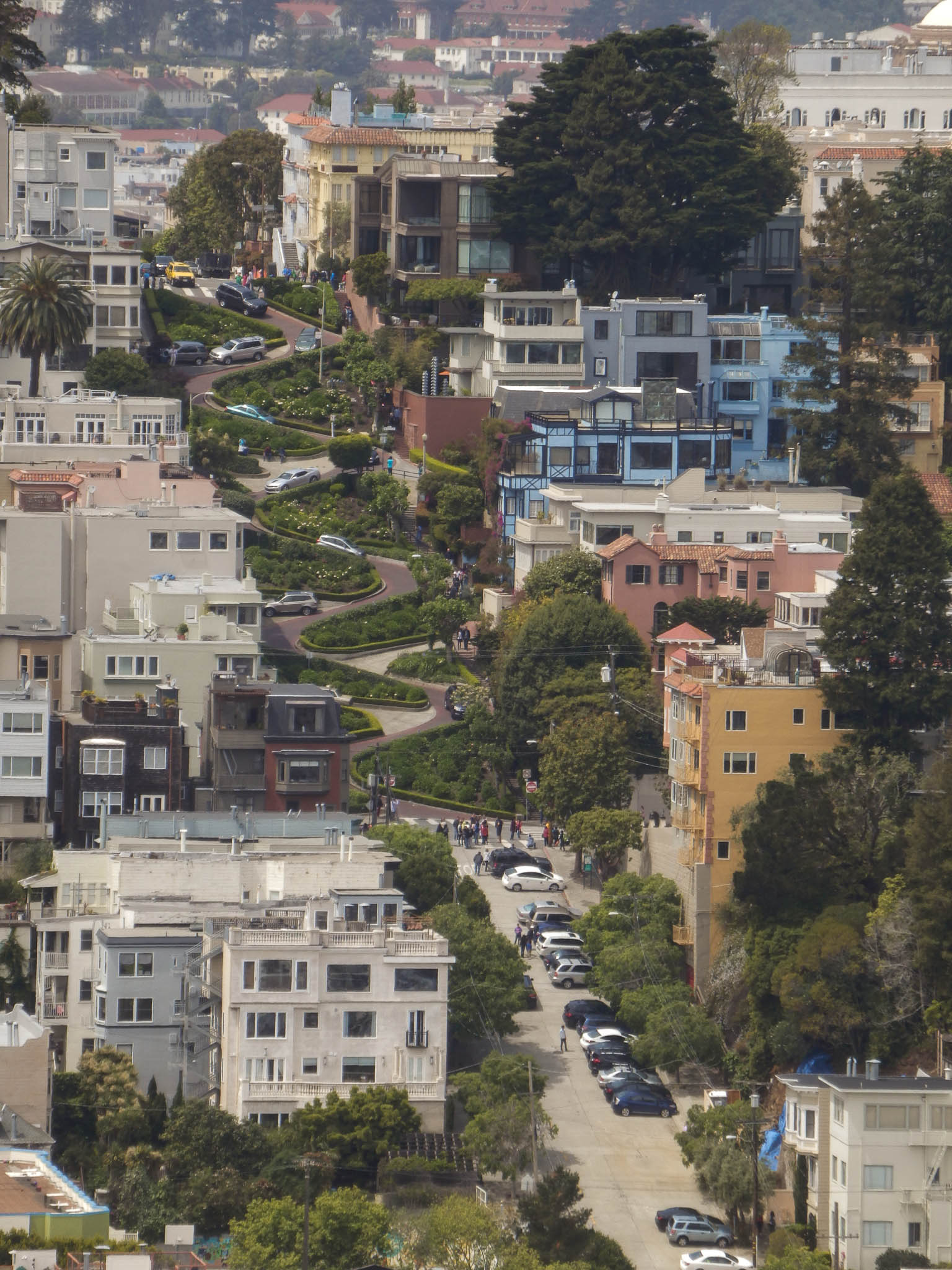 Lombard Street as seen from Coit tower